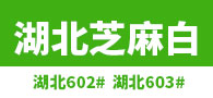 湖北芝麻白石材 湖北芝麻白廠家